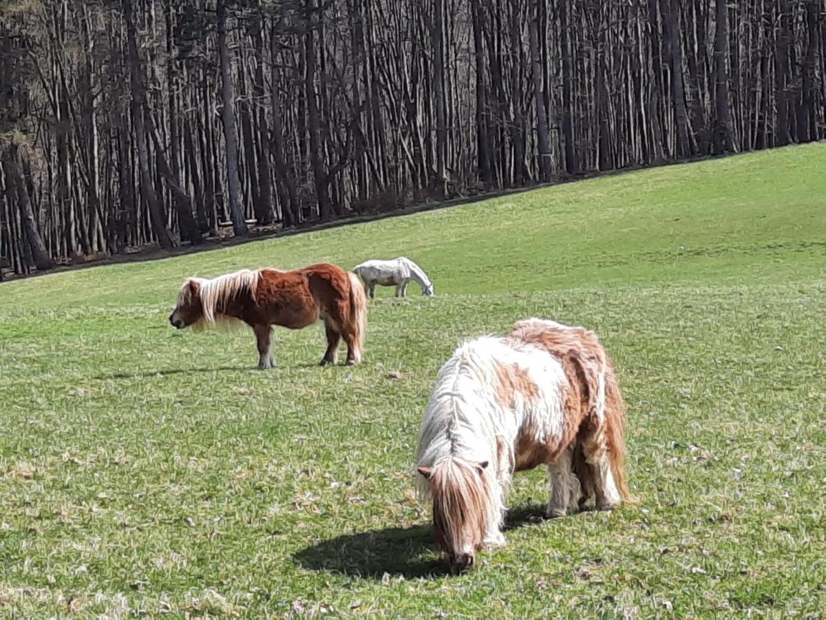 Irenental Erholungsheim Im Wienerwald מראה חיצוני תמונה